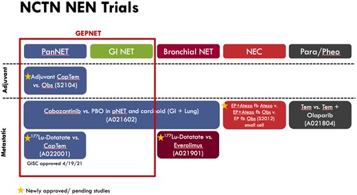 The lifecycle of NET clinical trials. Cap/Tem = capecitabine and temozolomide; EP = etoposide and platinum; fb = followed by; GEP-NET = gastroenteropancreatic neuroendocrine tumor; GI NET = gastrointestinal neuroendocrine tumor; NEC = neuroendocrine carcinoma; Obs = observation; PanNET = pancreatic neuroendocrine tumor; Para/Pheo = paraganglioma and pheochromocytoma; PBO = placebo; Tem = temozolomide.