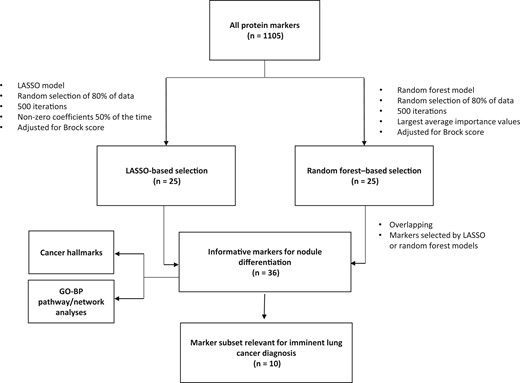The overall analytical pipeline, by number of markers. GO-BP = Gene Ontology–Biological Process; LASSO = least absolute shrinkage and selection operator.