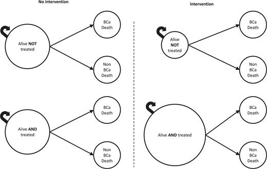 Basic structure of the Markov model. In any given year, patients can remain alive, die from breast cancer, or die from a non–breast cancer cause. In the model, receipt of treatment—endocrine therapy or chemotherapy—affects race-specific probabilities of breast cancer and non–breast cancer death. In the right panel, the “Alive AND treated” circle is larger, and the “Alive NOT treated” circle is smaller, representing the intervention effect (ie, the increase in the proportion of patients who start the model in the treated vs untreated state). We used trial-derived, race-stratified effect estimates to reflect the differential impact of inequity-reducing interventions on adjuvant therapy uptake across racial subgroups.