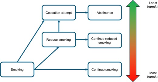 The hypothesized spectrum of lung cancer risk in the context of continued smoking, smoking reduction, and smoking abstinence.
