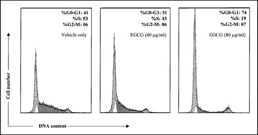  DNA flow cytometric analysis. A431cells were treated with vehicle or epigallocatechin- 3-gallate (40 and 80 µg/mL) for 24 hours and analyzed by flow cytometry. Percentages of cells in G 0 -G 1 , S, and G 2 -M phase were calculated using Cellfit computer software and are represented within the histograms. Data shown here are from a representative experiment repeated two times with similar results. 