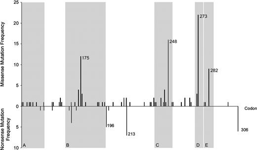  Bar chart of the distribution of missense and nonsense p53 mutations by codon. Regions shaded gray indicate structural domains of P53  ( 33 )  : region A is a sheet of loop–sheet–helix; region B is a loop–helix; region C is a loop; region D is a sheet of loop–sheet–helix; and region E is a helix of loop–sheet–helix. 