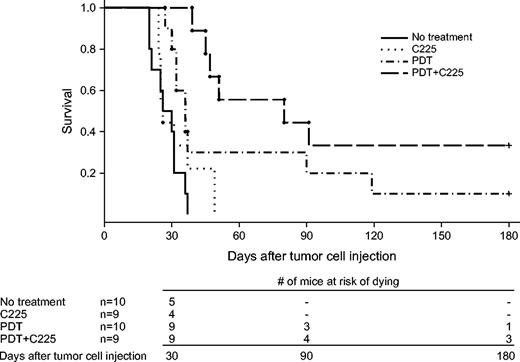  Kaplan–Meier curves for survival. Median survival was 28 days (interquartile range [IQR] = 21–31 days) for untreated mice, 36 days (IQR = 32–90 days) for mice treated with photodynamic therapy only (PDT), 26 days (IQR = 25–37 days) for mice treated with C225 only, and 80 days (IQR = 47 days – upper range not calculable secondary to censored data) for mice treated with PDT + C225. The combination treatment, PDT + C225, resulted in a synergistic enhancement of survival compared to the individual monotherapies, as analyzed by the Wilcoxon test ( P = .027). 