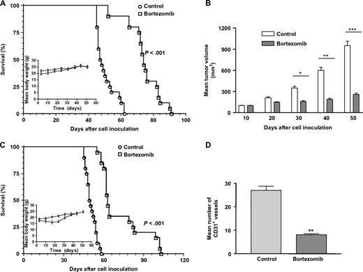  In vivo antitumor activity of bortezomib. A ) In the pseudometastatic model, nude mice were injected intravenously with HTLA-230 cells and randomly assigned to two groups (n = 20 per group). After 3 days, mice received 1 mg/kg bortezomib or saline solution (control) by intravenous injection every 3 days for 4 weeks. Survival of mice was monitored daily. P <.001 for mean survival of bortezomib-treated mice compared to saline-treated control mice (Peto's log-rank test). Inset , absolute mean body weight, in grams, after the beginning of the treatment. B – D ) An orthotopic mouse model was established by transplanting SH-SY5Y neuroblastoma cells into the left adrenal gland of SCID mice (n = 20 per group). After 10 days, the mice were randomly assigned to two groups. Bortezomib was administered as described above. B ) Tumor volumes measured at different times after cell inoculation. Bars depict the mean values, and error bars represent 95% co nfidence intervals. P values (two-tailed) were calculated using the Student's t test with Welch's correction and are compared with the control groups at the respective time points; * P = .023, ** P = .009, *** P <.001. C ) Mouse survival. Survival of mice was monitored daily. P <.001 for bortezomib compared with corresponding saline-injected controls. Inset , absolute mean body weight in grams. D ) Mean numbers of CD31 antibody-immunoreactive (CD31 + ) vessels on day 22 after the initiation of bortezomib treatment. Error bars represent 95% confidence intervals. P value (two-tailed) was calculated using the Student's t test with Welch's correction; ** P = .0087. 