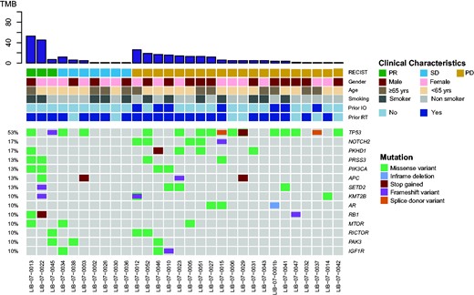 Mutational landscape of baseline plasma samples from 30 patients with detectable mutations. The most frequent mutations identified were TP53 in 16 (53%), NOTCH2 and PKHD1, in respectively, 5 (17%) and 5 (17%) patients. IO = immunotherapy; PD = progressive disease; PR = partial response; RT = radiotherapy; SD = stable disease; TMB = tumor mutation burden.