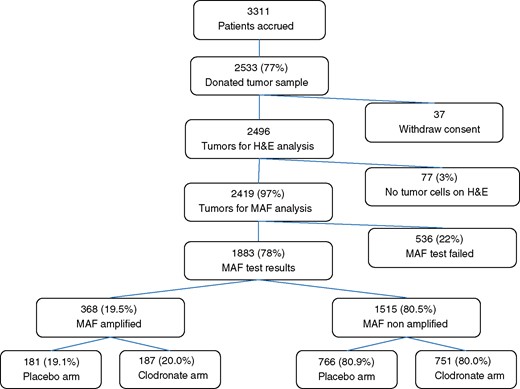 Schematic representation depicting MAF test analyses on the NSABP B-34 patient population. The MAF status distribution according to patient subgroups is reported. H&E = hematoxilyin and eosin.