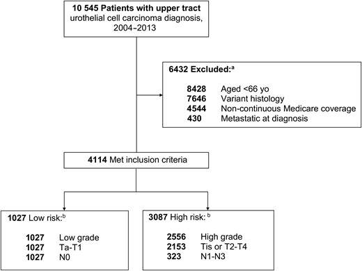 Patient selection process. aSome patients met more than 1 exclusion criterion. bSome patients met more than 1 risk classification criterion.