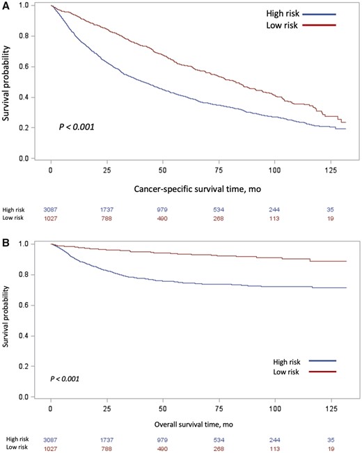 Unadjusted Kaplan-Meier curves of (A) overall survival and (B) cancer-specific survival, stratified by risk classification. Tables of the numbers of patients at risk in the high- and low-risk groups are below each graph.