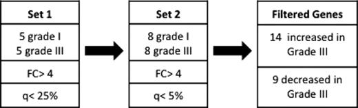 点燃大鼠海马显微解剖区I类mGluRs的半定量RT-PCR分析。（A） 对海马切片进行显微解剖，并对每个解剖区域分别进行RT-PCR表达分析。与年龄匹配的对照组和假植入大鼠相比，仅在齿状回（DG）中检测到mGluR1存在显著差异。（B） 所有海马亚区中mGluR5表达的变异性较大。然而，在CA3中，mGluR5 mRNA水平的降低达到了统计学意义。