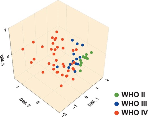 Relationship of 3 types of diffusely infiltrating astrocytomas with respect to the profile of 5 parameters (BIRC5-N, Ki67, PHH3, MF, and patient age). The spatial representation was rendered by multidimensional scaling of Euclidean distance matrix of the cases based on their 5-parameter profiles. Cases were represented by dots and color-coded by grade. The picture visually highlights the similarities and dissimilarities of the 3 groups of astrocytomas with respect to the 5 parameters.