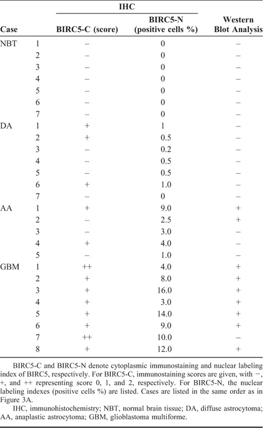 Comparison of IHC and Western Blot for BIRC5 Protein in Fresh Normal Brain Tissue and Astrocytoma Tissue Samples