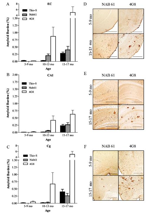 (A-C) Nab61-positive oligomeric β-amyloid (Aβ) deposits are first detected in the entorhinal cortex (EC) and the CA1 hippocampal subfield of APPsw-tauvlw mice at age 9 months, whereas the cingulate cortex (Cg) remains free of oligomeric Aβ deposits up to 13 months of age, despite very abundant amyloid plaque deposition (n = 26). (D-F) Amyloid plaques immunostained with 4G8 antibody and oligomeric Aβ deposits labeled with Nab61 antibody in EC, CA1, and Cg. Scale bars = 500 μm.