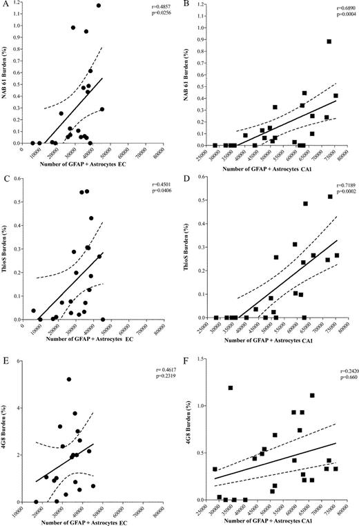 (A, B) Significant correlations between the amount of oligomeric β-amyloid (Aβ) deposits and glial fibrillary acidic protein (GFAP)-positive astrocytes in entorhinal cortex (EC) (p = 0.0256) and CA1 (p = 0.0004). (C, D) Significant correlations between the subpopulation of “neuritic” plaques labeled with thioflavin S (ThioS) and number of GFAP-labeled astrocytes in EC (p= 0.0406) and CA1 (EC p = 0.0002). (E, F) No significant correlation between total amount of amyloid plaques labeled by 4G8 and numbers of GFAP-labeled astrocytes in EC (p = 0.2319) and CA1 (p = 0.660) (aged 5-17 months, n = 22).