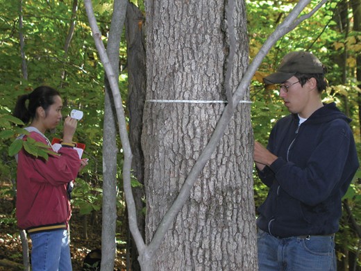 In this intensive forestry course, students learn how to both collect quantitative field data and then analyze it to gain an understanding of the complex interrelationships among the components of forest ecosystems.