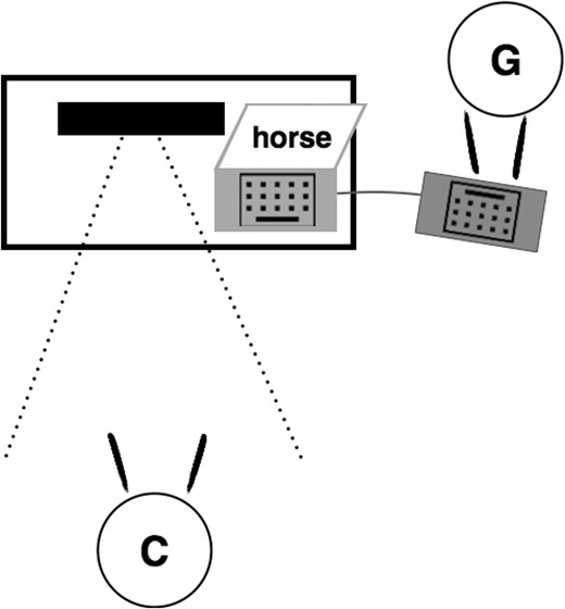 Experimental Set-up. The black solid box represents the Kinect sensor. The Communicator (C) is seated in the Kinect’s infrared field (represented by the dotted lines) and in full view of the Guesser (G), who controls the laptop without being able to see the stimulus on the screen.