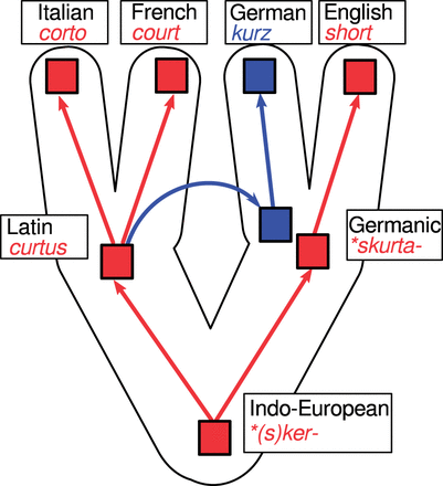 Complex historical relations between reflexes of Proto-Indo-European *(s)ker- ‘cut off’.