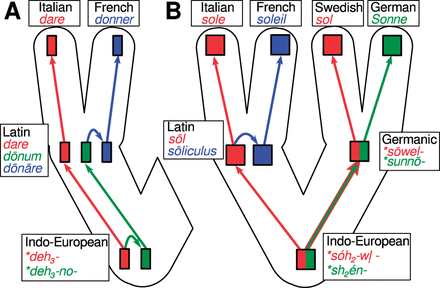 Degrees of cognacy in Indo-European language history: the development of words meaning ‘to give’ from Proto-Indo-European via Latin to Italian and French (A), and the development of words meaning ‘sun’ in from Proto-Indo-European to Italian, French, Swedish, and German (B).