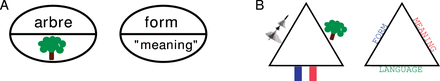 The different dimensions of the linguistic sign: (A) Shows the classical model after Saussure (1916). (B) Shows an extended sign model in which the language, the system in which a sign is used was added as a third component.