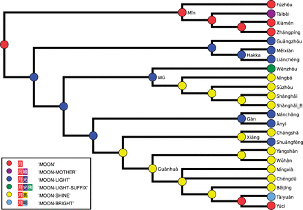 One of four optimal scenarios for the development of words for ‘moon’ along the Arbre reference phylogeny.