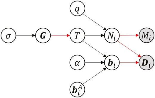 Graphical representation of the probabilistic dependencies between parameters concerning the word category Ci. In particular, functional dependency is shown by bold arrows, that is, G, Ni and {Ni,bi} functionally determine T, Mi and Di, respectively. The filled and open circles represent observed and latent parameters, respectively. Here, symbols Ni, bi, Mi and Di represent variables assigned at taxa (tree leaves).