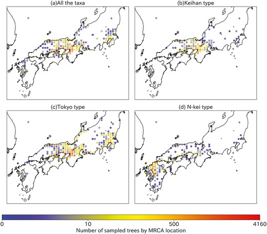 Geographical distribution of the locations of the MRCA for every sampled phylogenetic tree. The figure shows the number of sampled trees whose MRCA occupies each cell (logarithmic scale). (a) MRCA of all the taxon dialects. (b) MRCA of the dialects with Keihan-type accent. (c) MRCA of the dialects with Tokyo-type accent. (d) MRCA of the dialects with N-kei type accent.