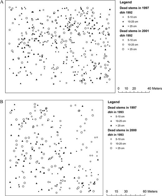(a) Pattern of tree mortality (stem d.b.h. ≥ 5 cm) in a loblolly pine stand (Graveyard plot) in the Duke Forest after the 1996 Hurricane Fran, NC, USA. (b). The mortality stem (d.b.h. ≥ 5 cm) maps of Bormann plot in the Duke Forest after the 1996 Hurricane Fran, NC, USA.