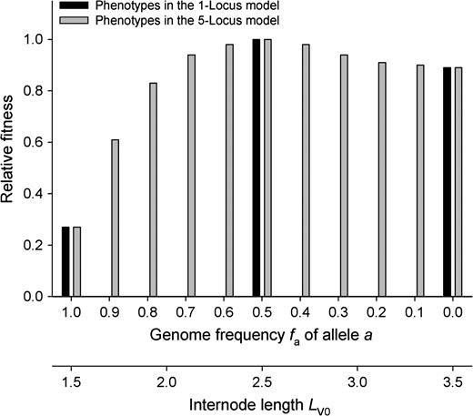 Relative fitness as a function of stolon internode length LV0 and genotype allele frequency fa with mean number of stolons NV0 = 2 in the phenotypic SEIB model. Fitness was calculated for phenotypes with given stolon internode length. Values of fa corresponding to the gametic models with one or five loci were linked with internode length LV0 by (1).