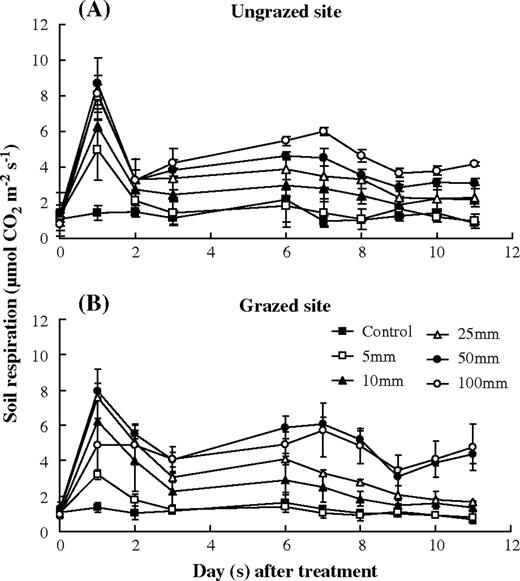 response of soil respiration to simulated precipitation pulses in the ungrazed and grazed sites. Error bars were 1 SD.