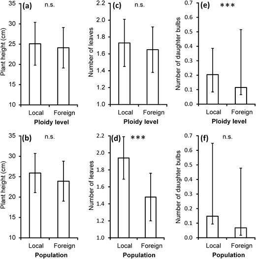 local versus foreign ploidy level contrast in (a) the plant height in 2011, (c) the number of leaves in 2011 and (e) the cumulative number of daughter bulbs 2008–11. Local versus foreign population contrast in (b) the plant height in 2011, (d) the number of leaves in 2011 and (f) the cumulative number of daughter bulbs produced by survived plants from 2008 to 2011. Predicted means and 95% CIs are shown. Statistically significant differences (P ≤ 0.05) between local and foreign ploidy levels or populations, respectively, are marked by asterisks (***P ≤ 0.001, n.s. = non-significant).