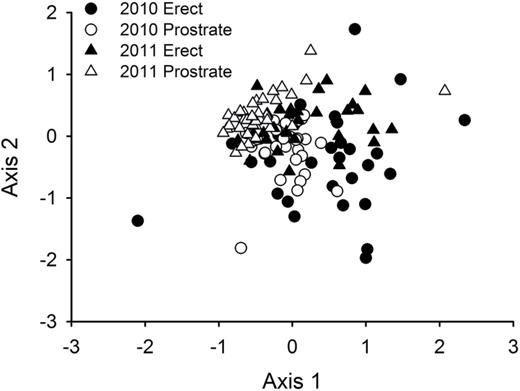 a non-metric multidimensional scaling ordination of community composition based on Bray–Curtis dissimilarity showing differences due to architectural morphs (erect vs prostrate) and sampling year (2010 and 2011). There were no significant effects of nutrient addition or interactions with nutrient addition.