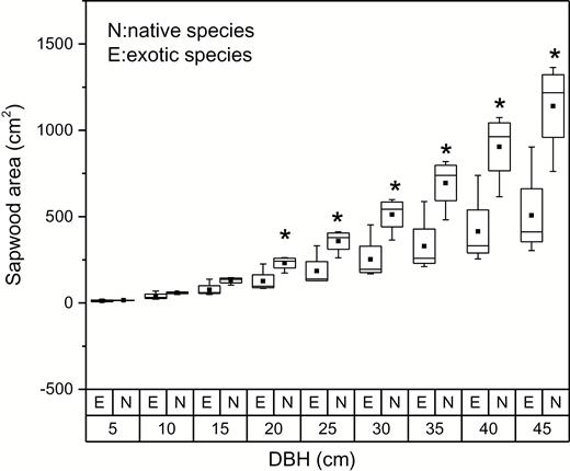 comparison of sapwood area between native and exotic tree species at different DBH values. The symbol ‘*’ indicates significant differences in sapwood area between native and exotic species (P < 0.05). The letter N and E represent native species and exotic species, respectively.