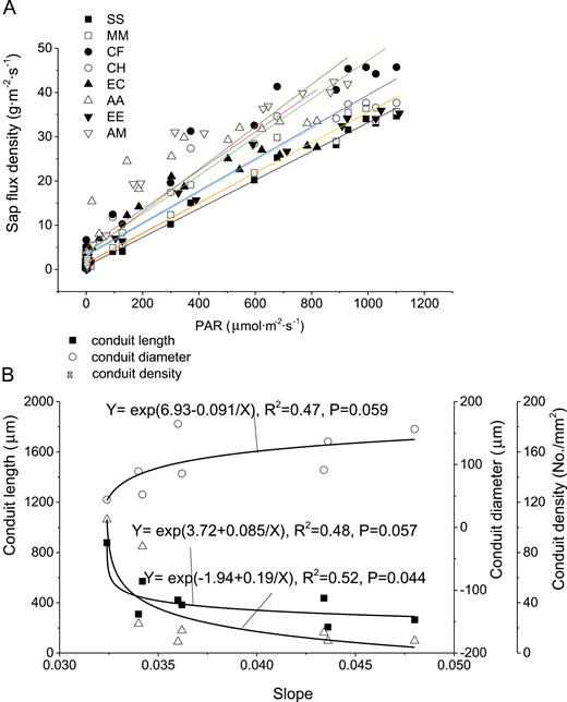 sensitivity of sap-flux density to PAR (A) and its relationship with conduit characteristics (B).