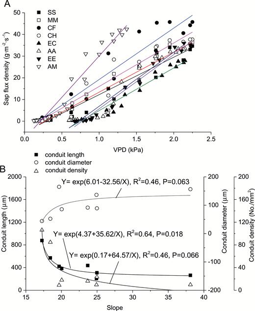 sensitivity of sap-flux density to VPD (A) and its relationship with conduit characteristics (B).