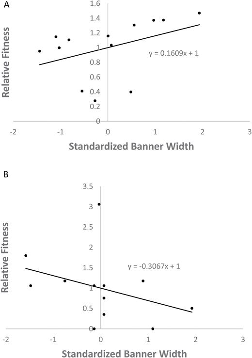 relative fitness as a function of banner width, with linear fit. The regression coefficients were used as selection coefficients in an urban (A) and rural (B) patch of Scotch broom.