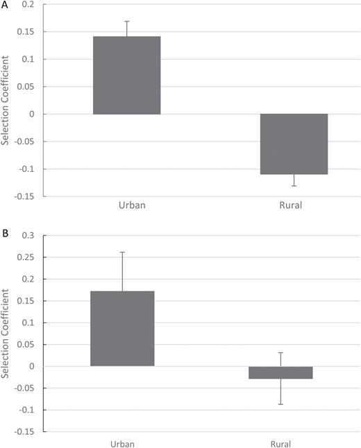 mean selection coefficients with standard errors of all patches in urban and rural sites for 2015 (A) and 2016 (B).