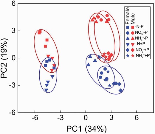 PCA plots of physiological parameters of Populus cathayana females and males under nitrogen and phosphorus deficiency (−N−P), nitrate and P deficiency (NO3−−P), ammonium and P deficiency (NH4+−P), N deficiency and high P (−N+P), NO3− and high P (NO3−+P) and NH4+ and high P (NH4++P).