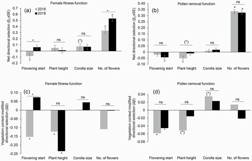 Net directional selection gradients (βC ± SE) and vegetation context-modified selection gradients (Δβ) on flowering start, plant height, corolla size and number of flowers (no. of flowers) of S. sinensis over 2 years. (a) and (c) are estimated through female fitness, and (b) and (d) are estimated through pollen removal. Symbols above the individual bars indicate the level of significance of selection gradients. Symbols above the lines indicate whether selection differs between years. *P < 0.05; (*) P < 0.1; ns, P > 0.1.