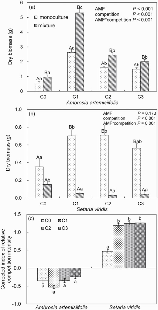 Average of the individuals dry biomass (a, b) of Ambrosia artemisiifolia or Setaria viridis when grown in monoculture or mixture in soil inoculated with spores (C0: 0, C1: 10, C2: 20 or C3: 30 spores g−1 soil) of Funneliformis mosseae. Different lower case letters indicate differences between spore densities at P <0.05. Different uppercase letters indicate differences between mixture and monoculture at P <0.05. Error bars represent ± 1 SE of mean (n = 8). A two-way ANOVA is used to analyze the effect of AMF inoculums and interspecific competition at P <0.05. Error bars represent ± 1 SE of mean (n = 8). Effects of spores (C0: 0, C1: 10, C2: 20 or C3: 30 spores g−1 soil) of F. mosseae on the corrected index of relative competition intensity (CRCI) of A. artemisiifolia and S. viridis (c). CRCI value >0 indicates that competition has a negative effect, and CRCI value <0 indicates that competition has a positive effect on the target plant. Different letters within plant species indicate significant differences among various spore density treatments at P <0.05. Error bars represent ± 1 SE of mean (n = 8).