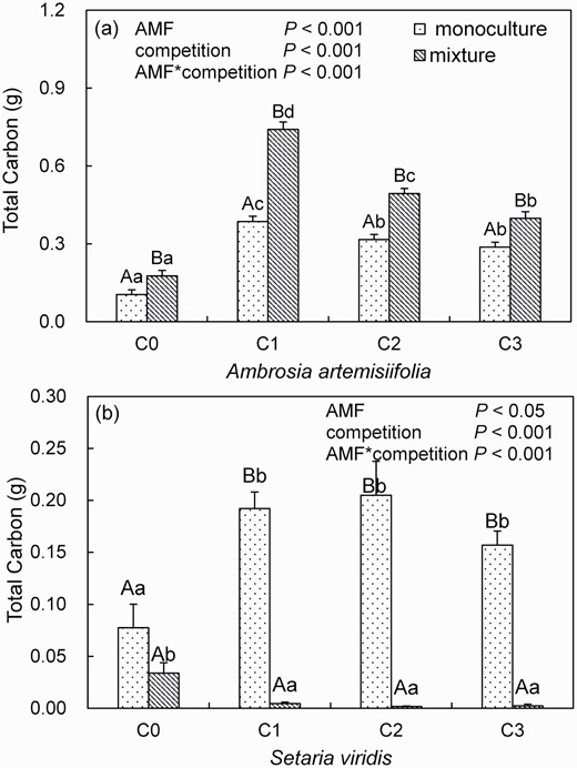 Total carbon of Ambrosia artemisiifolia (a) or Setaria viridis (b) when grown in monoculture or mixture in soil inoculated with spores (C0: 0, C1: 10, C2: 20 or C3: 30 spores g−1 soil) of Funneliformis mosseae. Different lower case letters indicate differences between spore densities at P <0.05. Different uppercase letters indicate differences between mixture and monoculture at P <0.05. A two-way ANOVA is used to analyze the effect of AMF inoculums and interspecific competition at P <0.05. Error bars represent ± 1 SE of mean (n = 8).