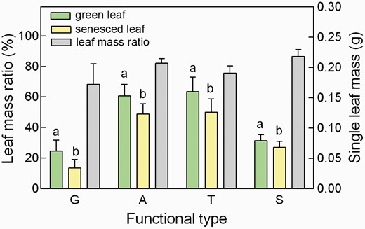 The average mass per green- and senesced-leaf and their mass ratio of different functional-type plants. A, angiosperms; G, gymnosperms; S, shrubs; T, trees. Different letters above the colored bars indicated a significant difference in the mass between green- and senesced-leaves (paired t-test, P < 0.05). Single leaf means a lamina for angiosperms or a needle for gymnosperms. Leaf mass ratio (%) means the mass ratio of a single senesced leaf against a singe green leaf.