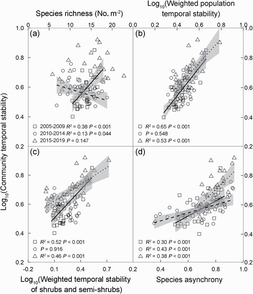 Dependences of community temporal stability on species richness (a), the weighted temporal stability of population (b) and shrubs and semi-shrubs (c) and species asynchrony (d) in the early (2005–2009, squares and solid line), intermediate (2010–2014, circles and dashed line), and late stages (2015–2019, triangles and dotted line), respectively. Values of the temporal stability of community, population, and shrubs and semi-shrubs are log-transformed. The shaded areas represent regression 95% confidence intervals, respectively. Each data point represents 5 years mean value in each of the 32 subplots.