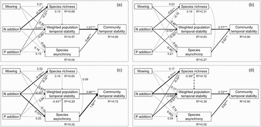 The results of structural equation modelling showed the pathways through which mowing, N addition, and P addition affected community temporal stability over the 15 years. Arrows indicate significant (solid, P < 0.05) and nonsignificant (dashed, P > 0.05) relationships. The width of arrows indicates the strength of the causal effect. Number above the arrows indicates path coefficients (0.05 < ^P < 0.1, *P < 0.05, **P < 0.01, ***P < 0.001). R2 values represent the proportion of variance explained for each variable. The final SEMs based on the whole experiment period (2005–2019; Panel a, Fisher’s C = 9.76, AIC = 65.76, d.f. = 12, P = 0.64), early (2005–2009; Panel b, Fisher’s C = 15.40, AIC = 73.40, d.f. = 10, P = 0.12), intermediate (2010–2014; Panel c, Fisher’s C = 18.49, AIC = 74.49, d.f. = 10, P = 0.05) and late stages (2015–2019; Panel d, Fisher’s C = 19.87, AIC = 75.87, d.f. = 12, P = 0.07).
