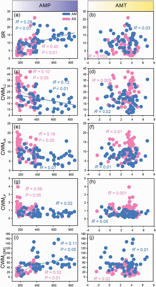 Relationships between AMP and SR (a), AMT and SR (b), AMP and CMWLC (c), AMT and CMWLC (d), AMP and CMWLN (e), AMT and CMWLN (f), AMP and CMWLP (g), AMT and CMWLP (h), AMP and CMWLDMC (i) and AMT and CMWLDMC (j) across two different alpine grassland types. CWMLC = community-weighted mean value of leaf carbon content, CWMLN = community-weighted mean value of leaf nitrogen content, CWMLP = community-weighted mean value of leaf phosphorus content, CWMLDMC = community-weighted mean value of leaf dry matter content.