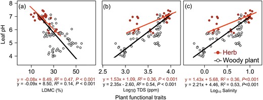 Relationship between leaf pH and (a) LDMC, (b) TDS and (c) salinity for woody plants and herbs in arid regions. The fitted lines were determined by SMA regression model. Solid line denoted the relationship with P < 0.05.