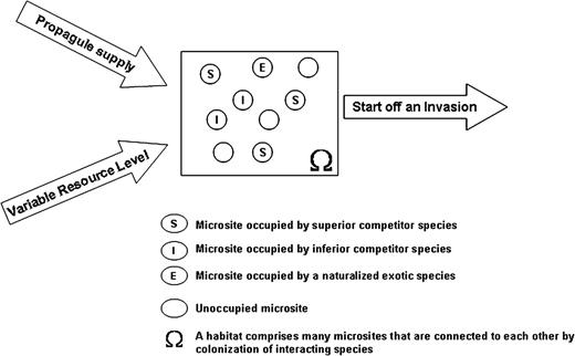 a diagram illustrating an invasion condition: a naturalized exotic species (termed as invading species) becomes invasive when there are changes in habitat characteristics through the interactions among the factors of propagule supply, variable resource level and availability of vacant microsites. A higher intrinsic rate of propagule production combined with a higher survival rate of adults allows an invading species to supply more propagules into a habitat. Availability of many vacant microsites reduces the competition intensity from native species, whereas the variable resource level within the specified range maintains the increasing recruitment rate of invading species by depressing native species irrespective of its competitive ranking.