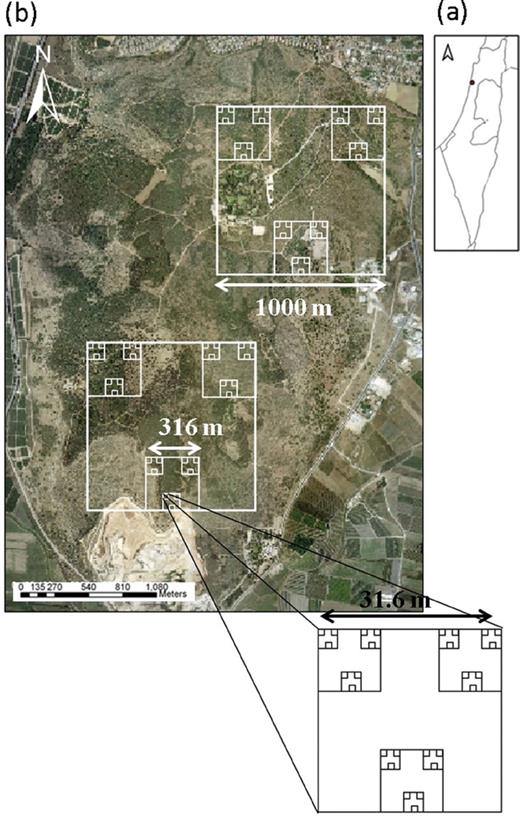 (a) location of the study site in Israel. Circle indicates Ramat Hanadiv Nature Park. (b) Aerial photo of Ramat Hanadiv study site and the hierarchical sampling scheme used in this study. The figure shows the scale ranging from 106 through 1 m2.
