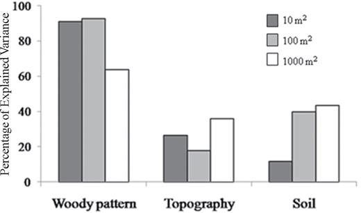 the variance explained by the three groups of predictors of species richness given as percentages of the total explained variance.