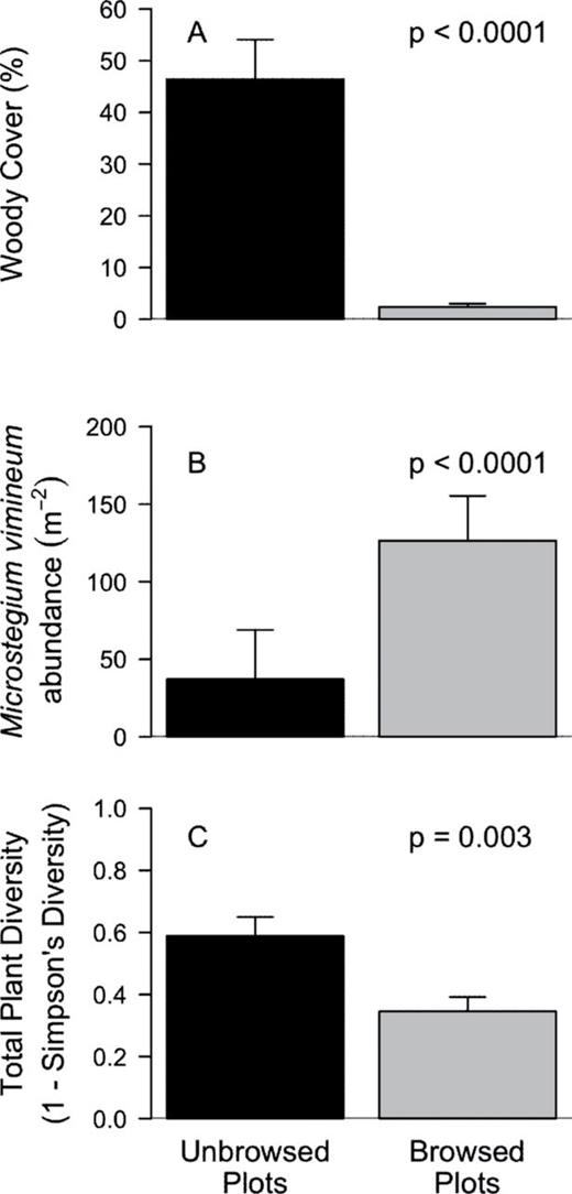 deer browsed and unbrowsed plots varied in M. vimineum abundance, total plant species diversity, and woody plant cover. Within unbrowsed plots, woody species cover was 20 times higher (A), M. vimineum was three times less abundant (B), and plant diversity was 33% higher (C) than in deer browsed plots.