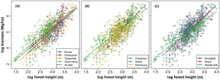 relationships between stand total biomass and forest height, (a) for each forest biome and all biome together; (b) for evergreen, deciduous and mixed forests and (c) for broadleaf, needleleaf and mixed forests. All regressions were significant at P < 0.001. For r2s, sample sizes, slopes and intercepts of the relationships, see Table 1.
