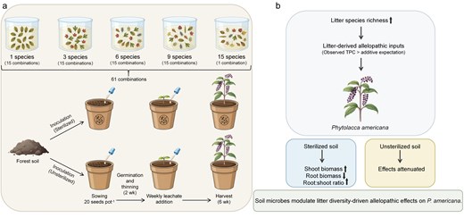 Soil microbes modulate the allelopathic contribution to the diversity-invasibility relationship